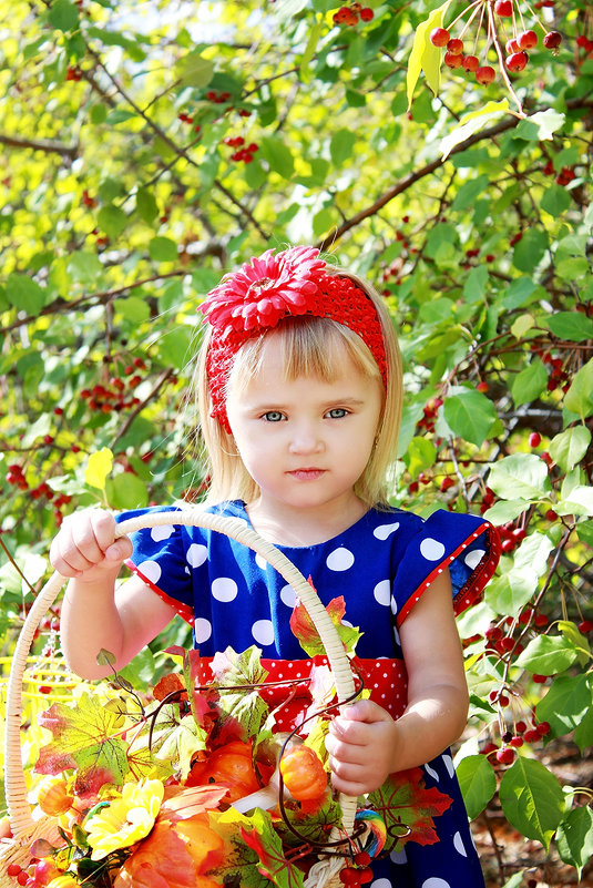 Осенний урожай - Елена Сметанина