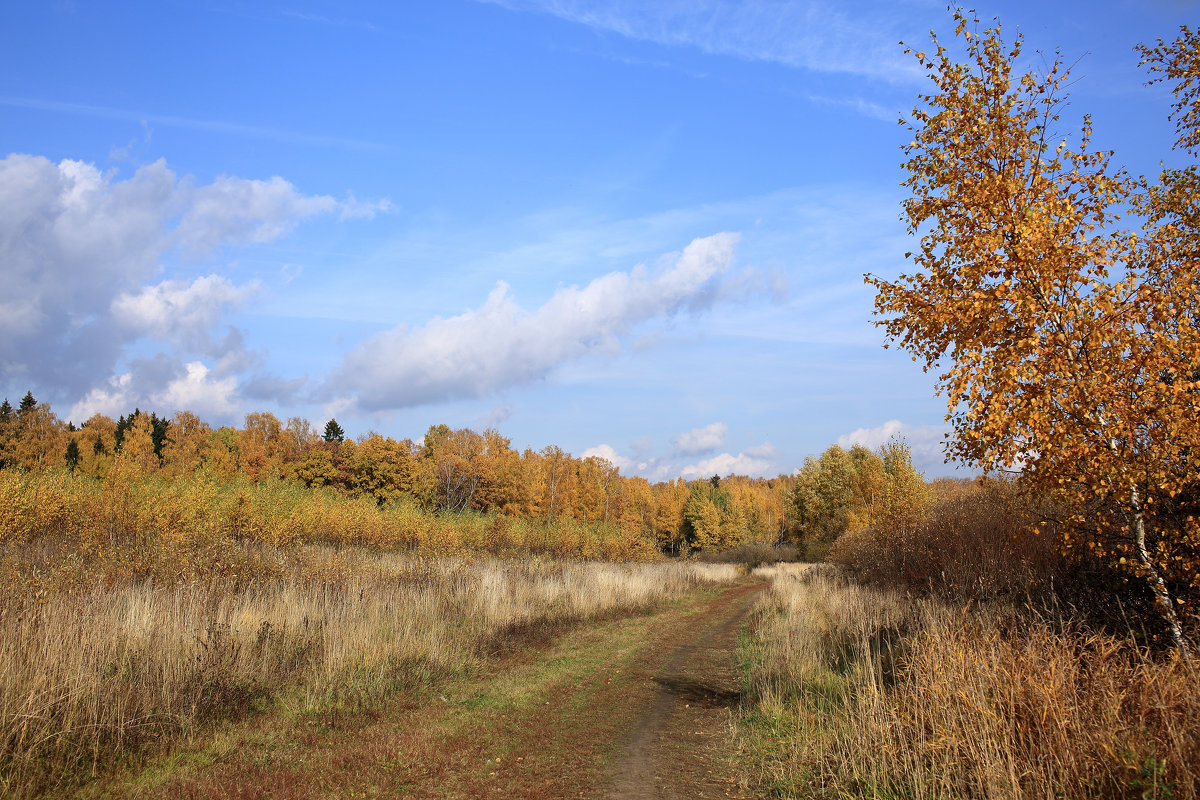 Осень - Янгиров Амир Вараевич 