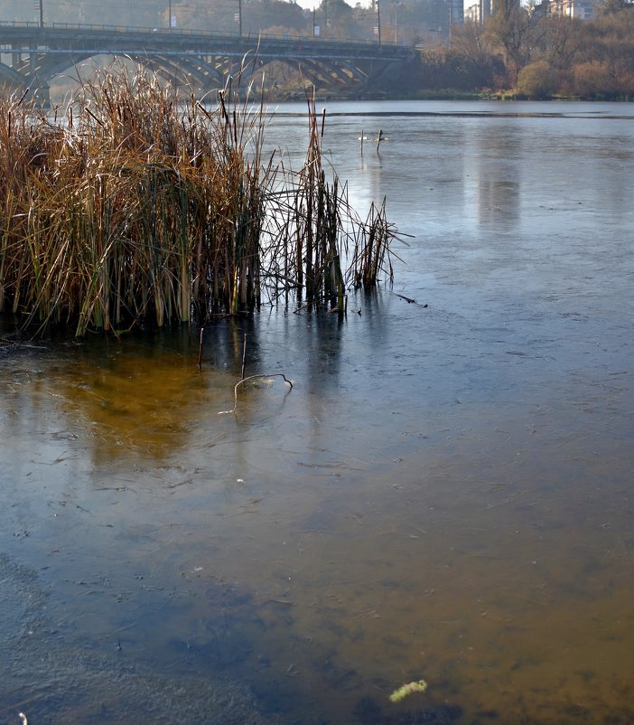 заморозок на воде - юрий иванов