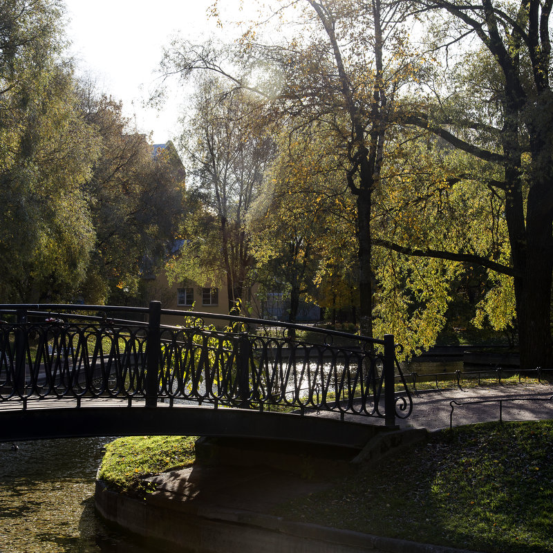 в Юсуповском саду - ник. петрович земцов