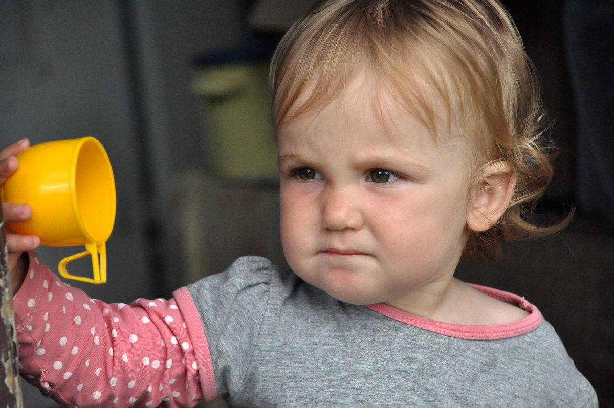 для чего служит этот предмет - Богдан Вовк для чего служит этот предмет - Богдан Вовк