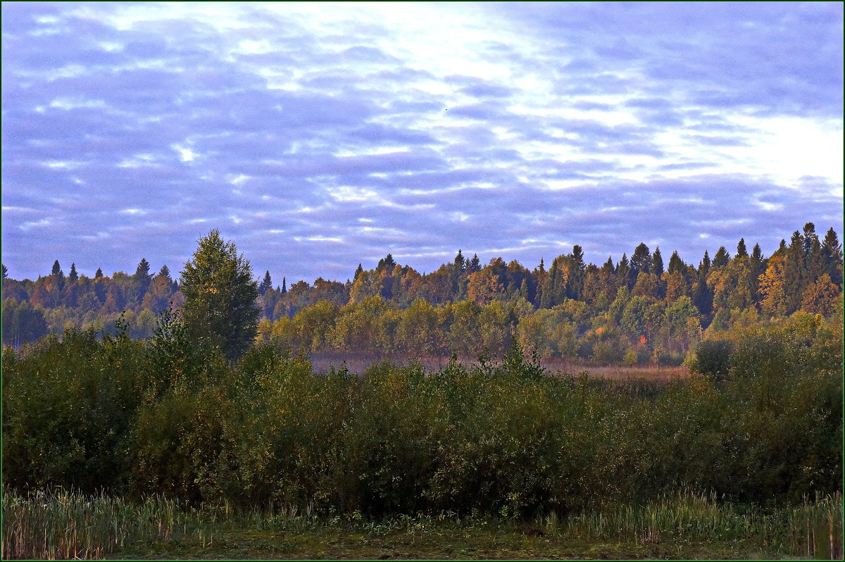 Туманно-осеннее-) - Любовь Чунарёва