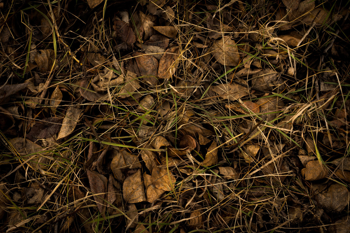 Осень - Максим Иванов