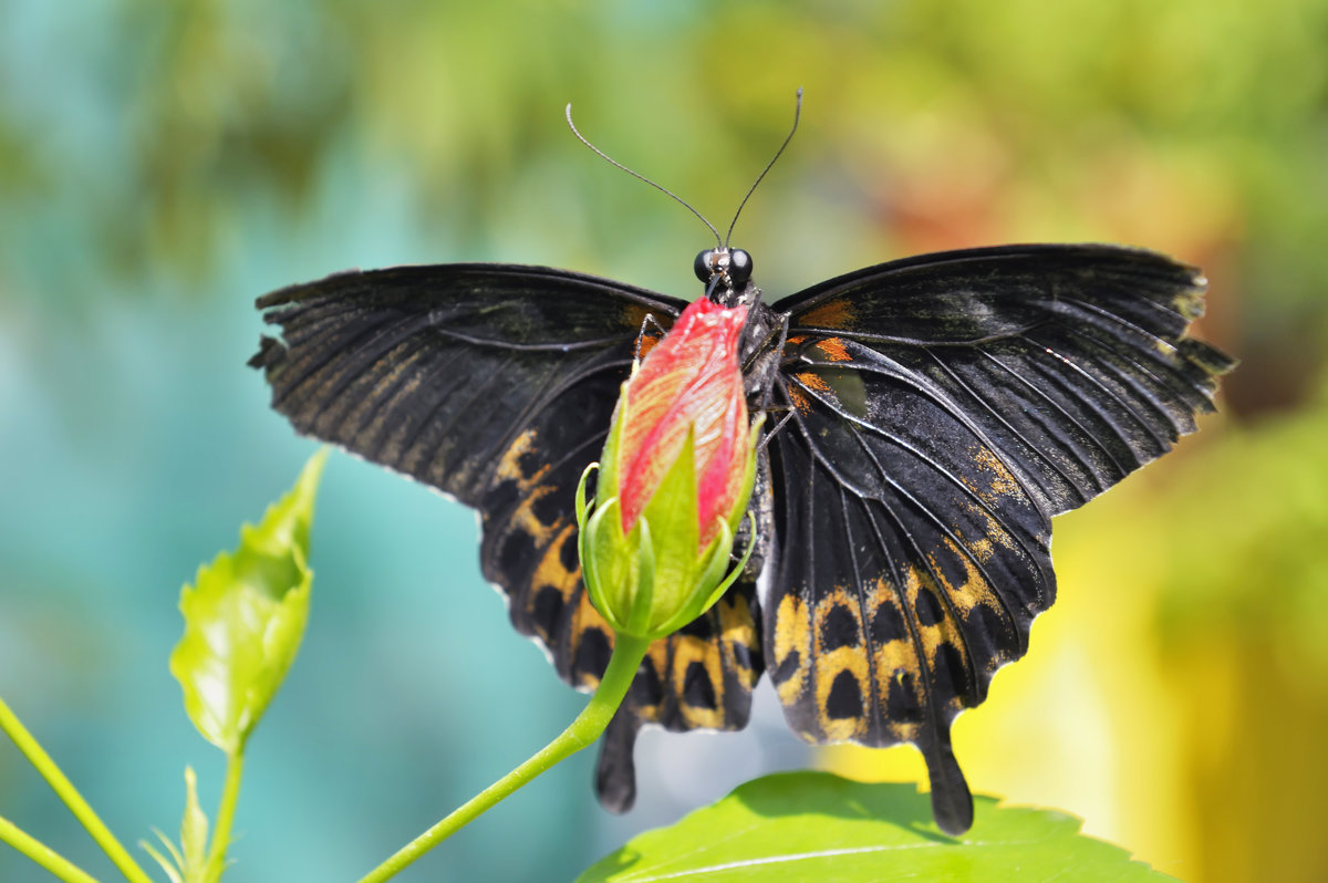 Стыковка произошла удачно. - Алексей Никитин