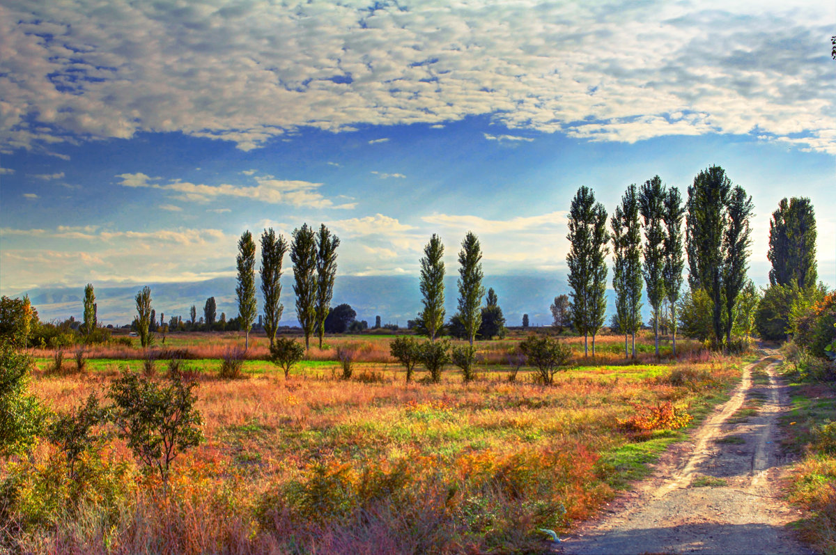 ARMENIA - VAHE DILANCHYAN