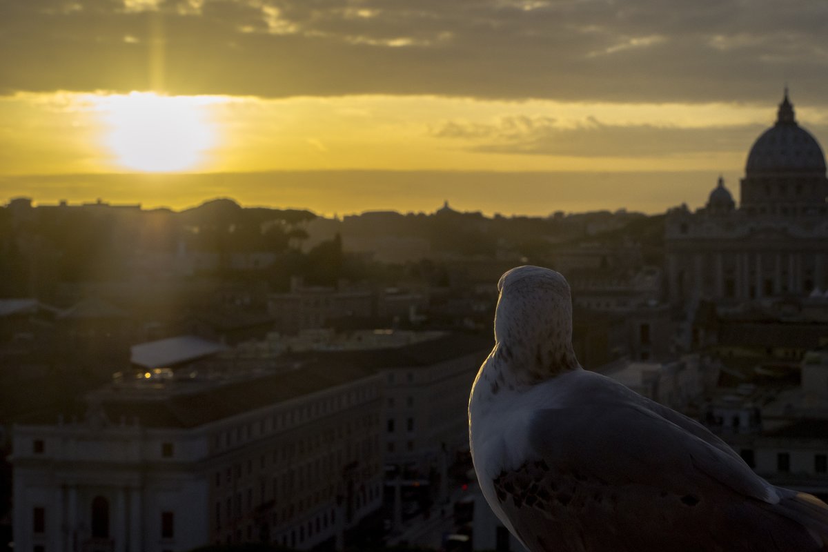 sunset in the city - Dmitry Ozersky