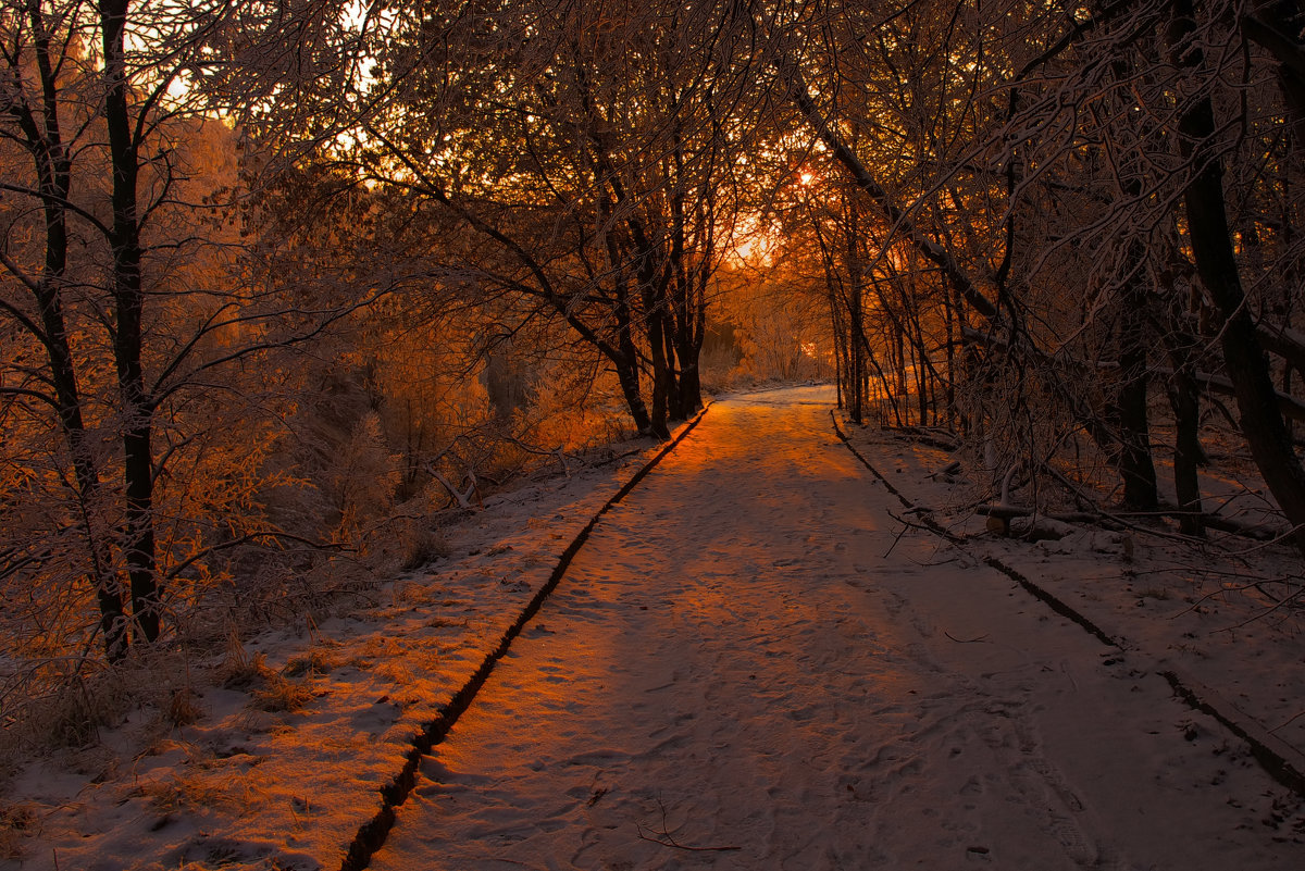По зимней тропинке - Роман Царев