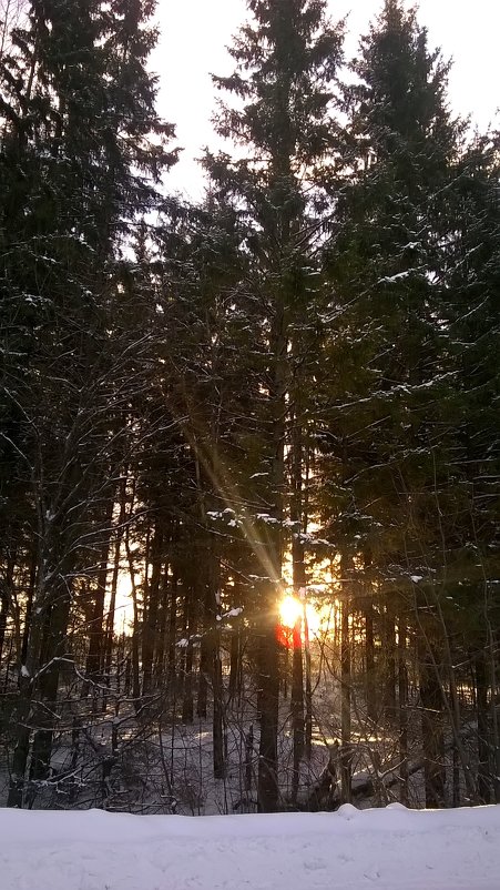 Зимнее солнце - Екатерина Баннова