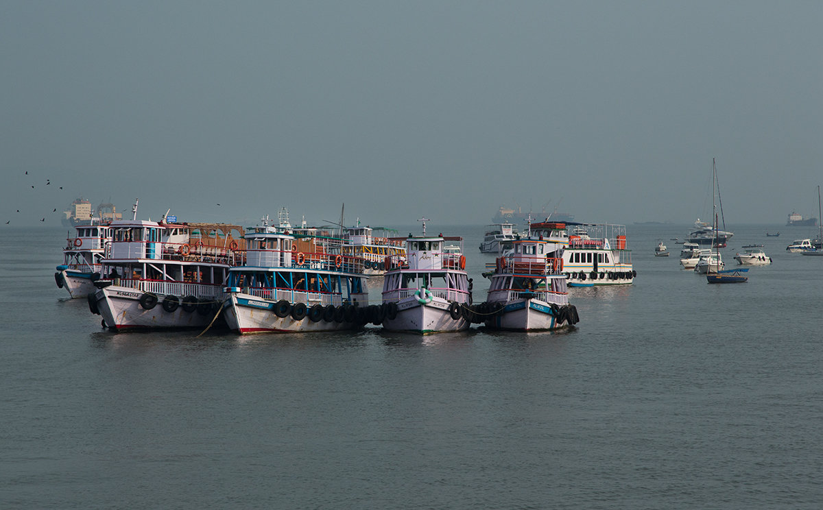 --- - Елена Шацкова