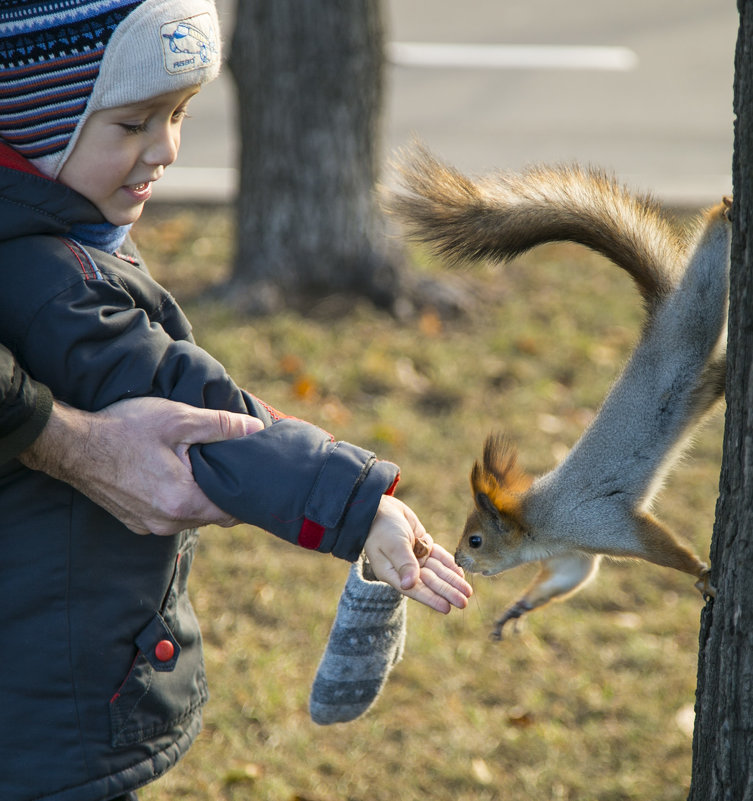 ... - Михаил Гусев