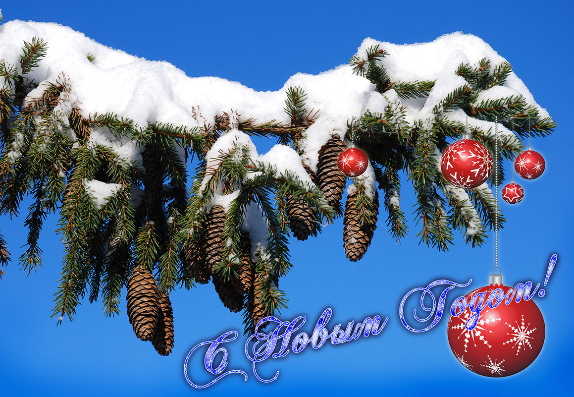 С Новым Годом!.... - Евгений 