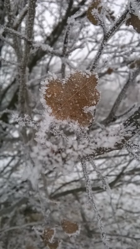 Первый мороз - Алена WeRa