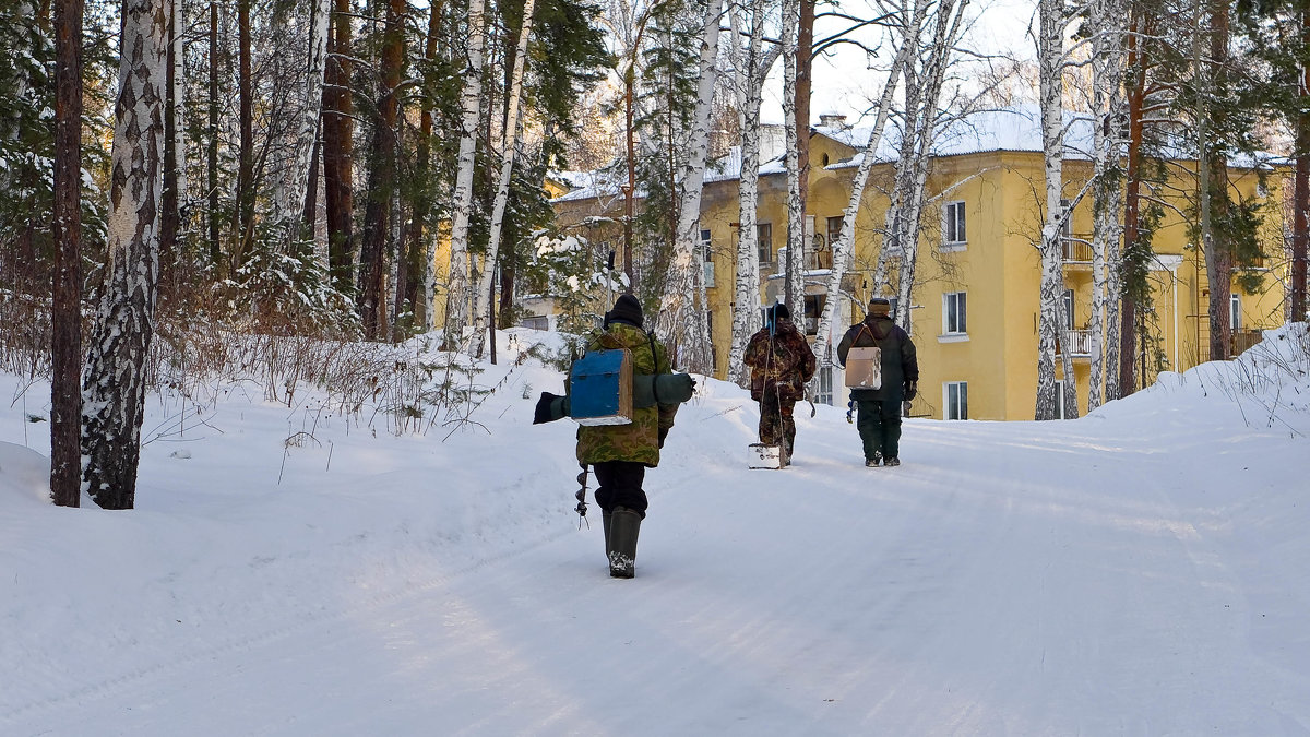 Три полуграции - Стил Франс Три полуграции - Стил Франс