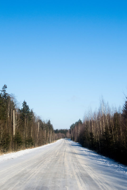 Зимняя дорога - Alice Darling