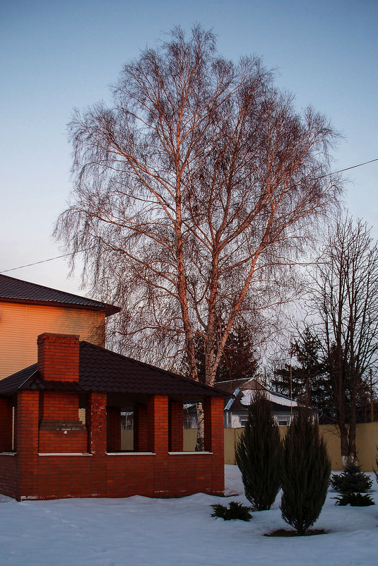 Береза - Владимир Боровков