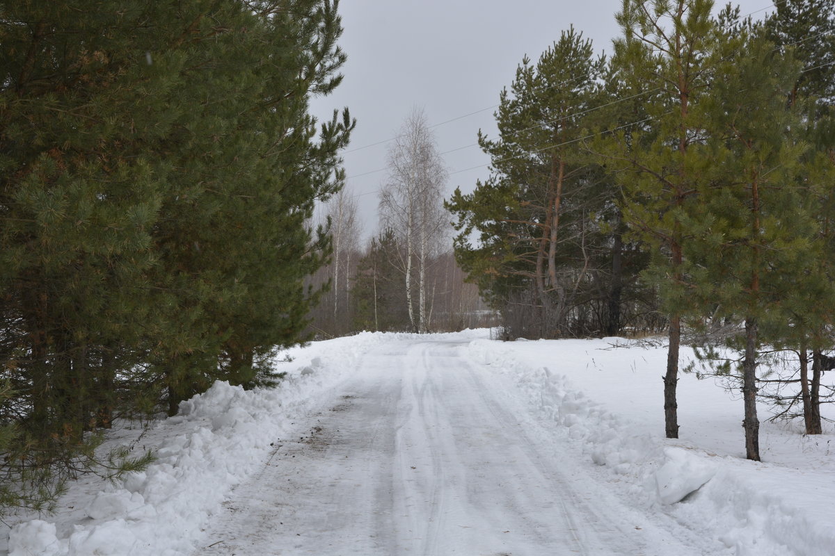 365 - Виктор Замятин