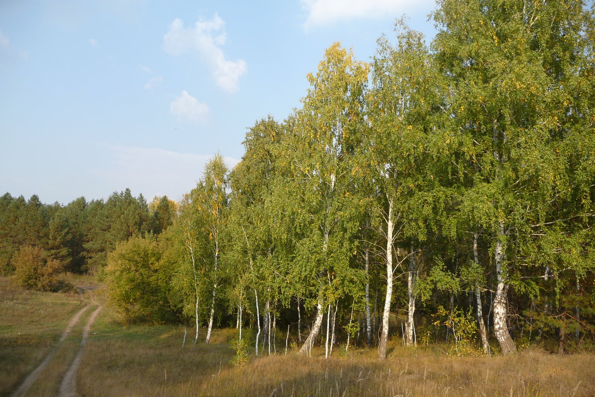 ***** - Eвгения Генерозова