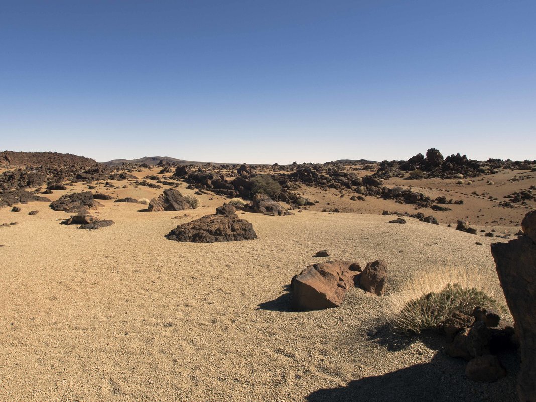 National park Teide - Lena Li