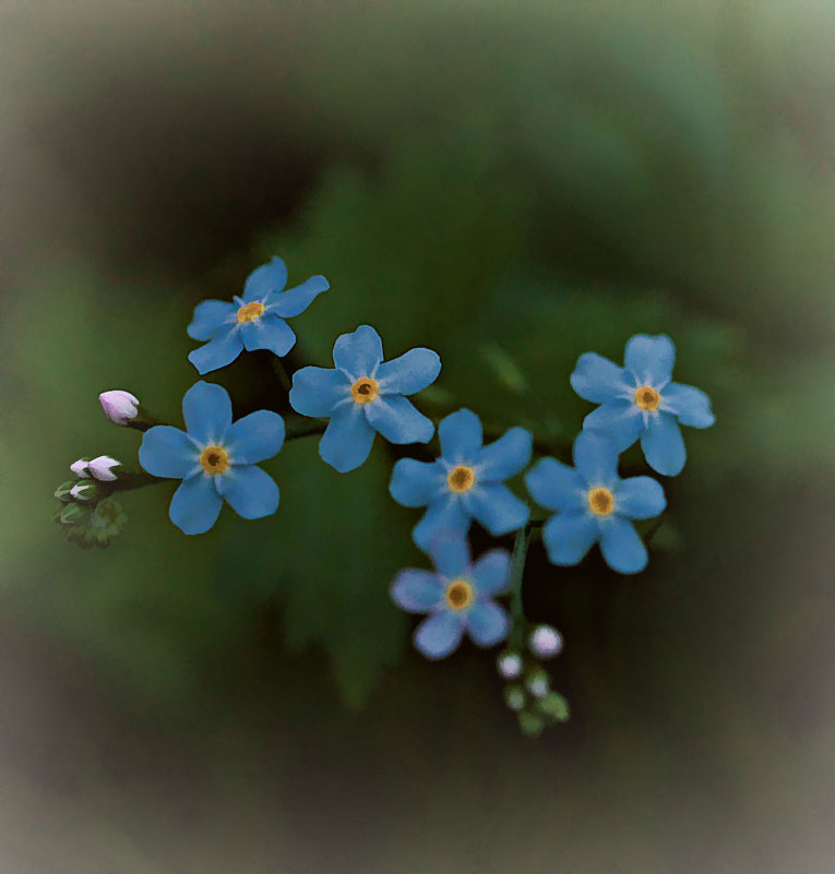 Не забудь-ка - Михаил Лобов (drakonmick)