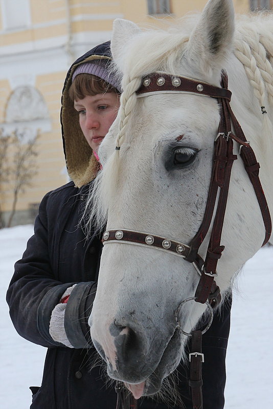 .....и как прежде поджидаем седока... - Tatiana Markova