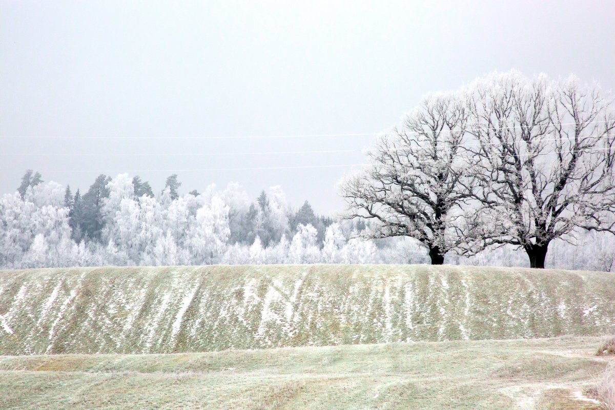 Кандава - Диана Матисоне