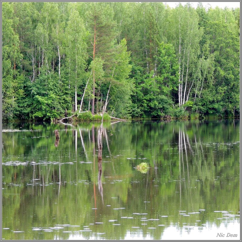 В краю озёр - Николай Дементьев 