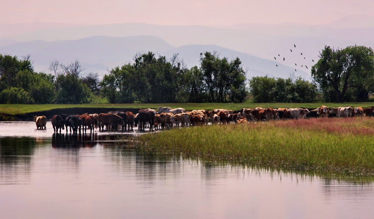 Полуденная бурятская - Александр | Матвей БЕЛЫЙ Полуденная бурятская - Александр | Матвей БЕЛЫЙ