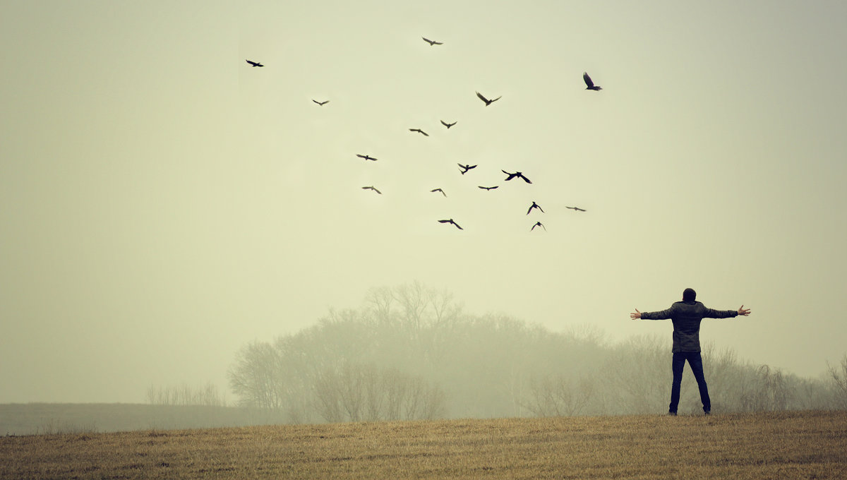 freedom - Yevgeniya Bush freedom - Yevgeniya Bush