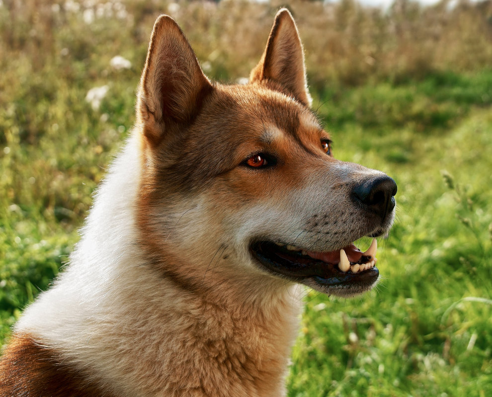 ... - Оксана Онохова