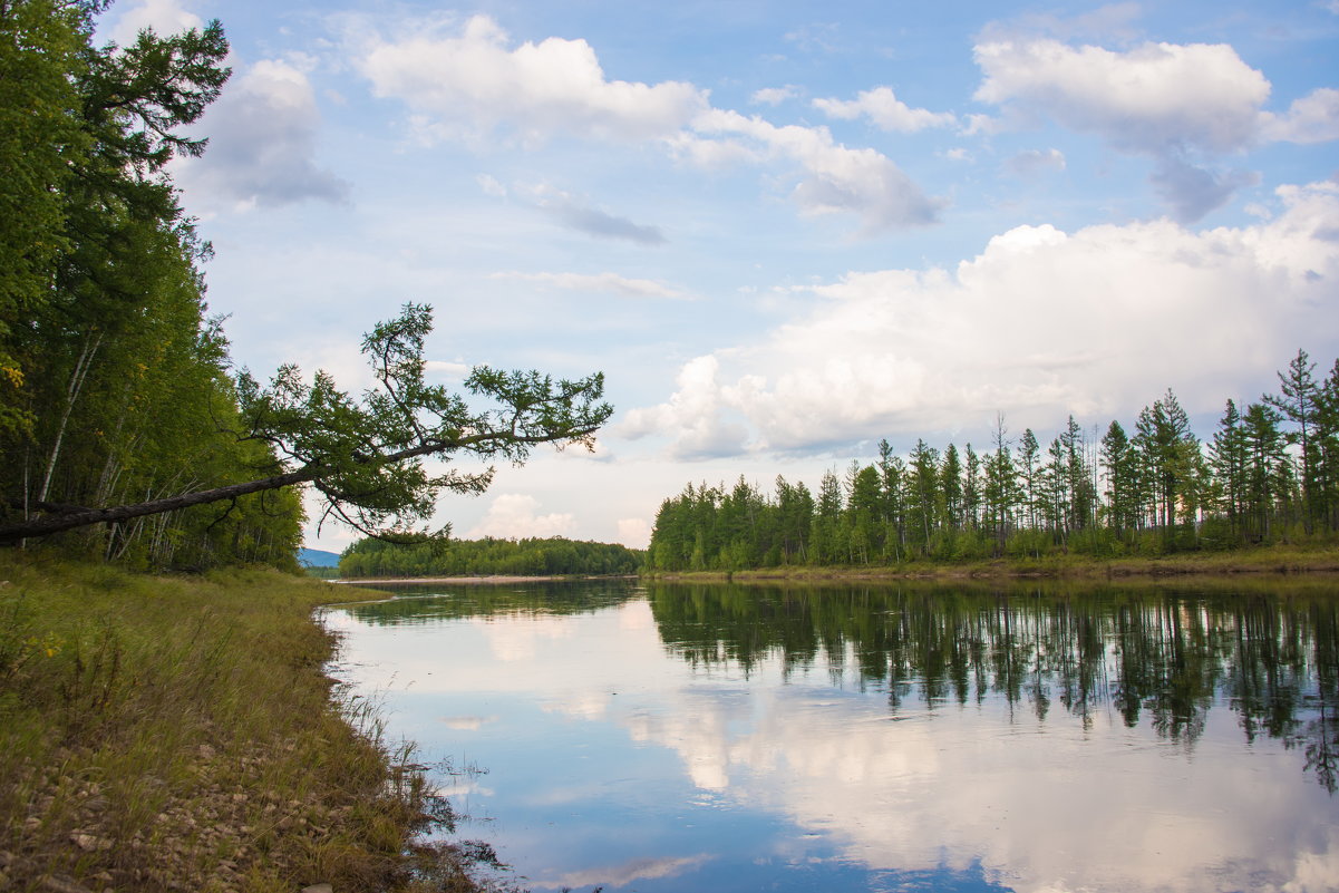 *** - Александр Хаецкий