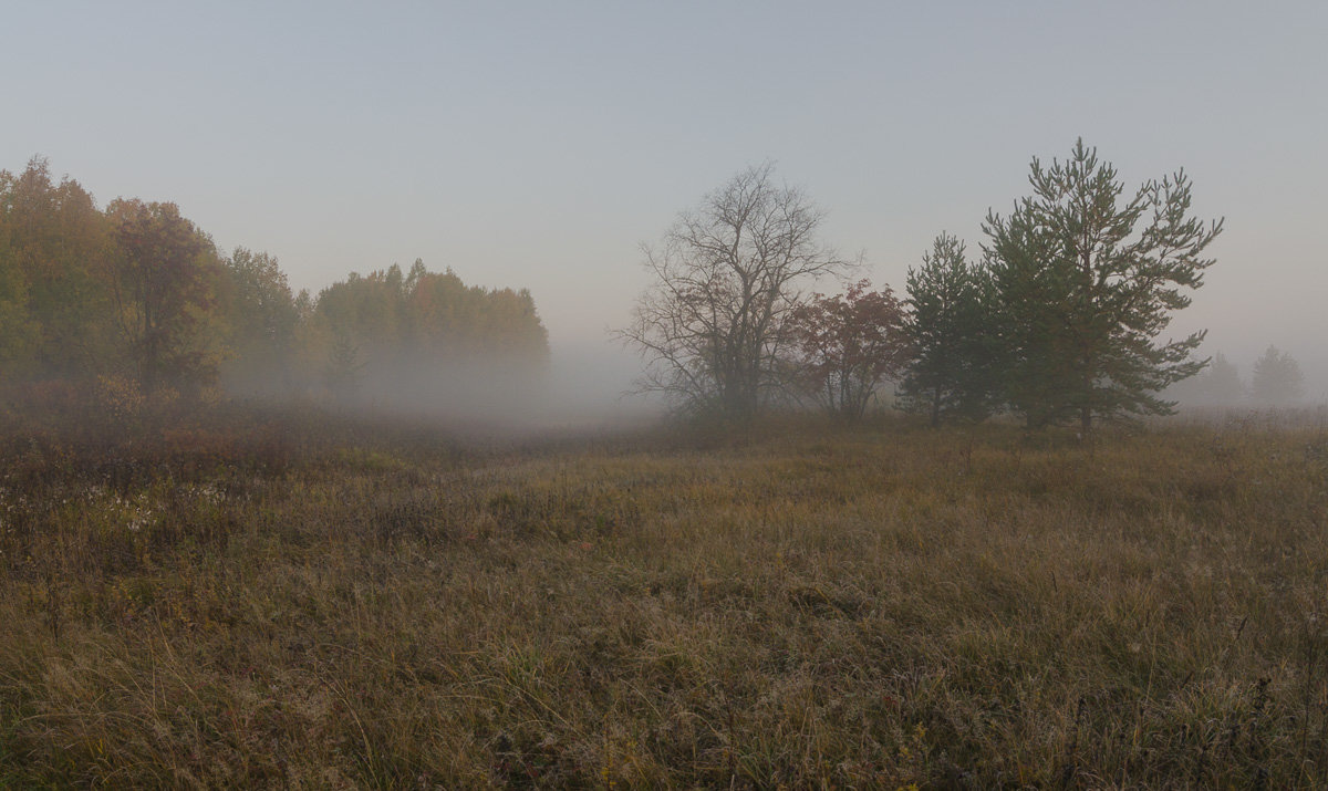 Осенний туман - Валентин Котляров
