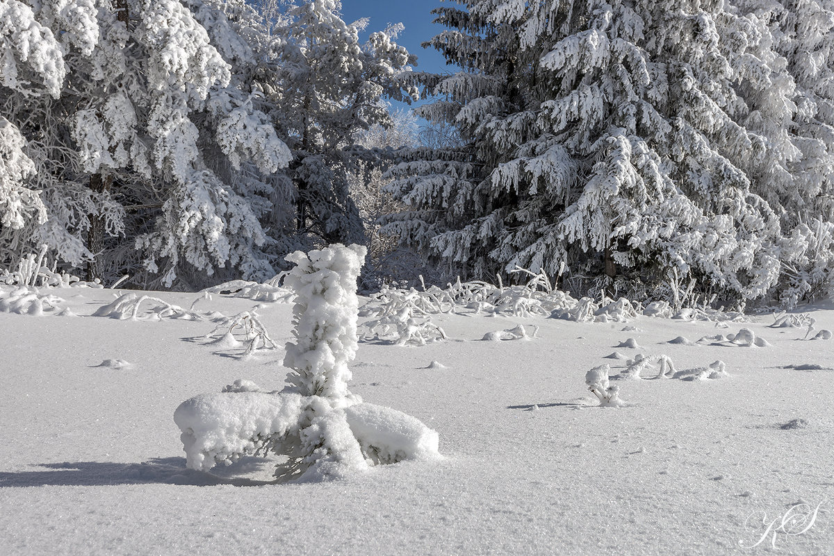 Я тоже вырасту...... - Sergey Kuznetsov Я тоже вырасту...... - Sergey Kuznetsov