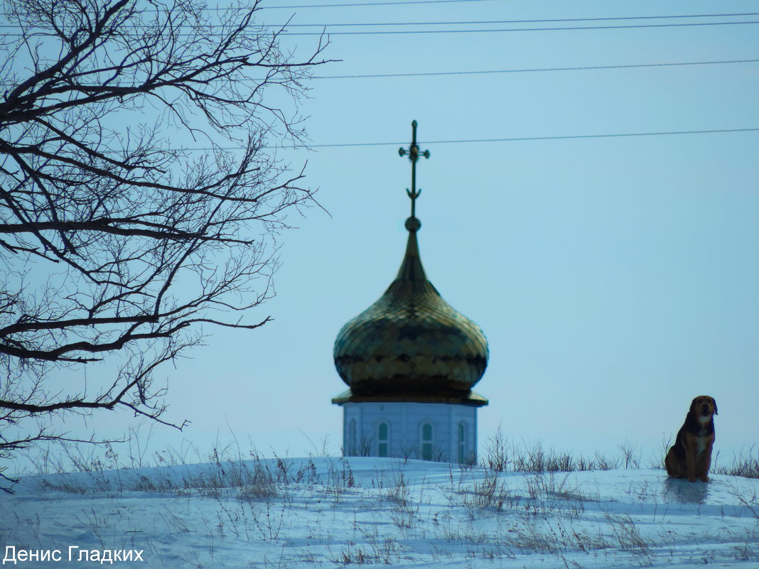 *** - Денис Гладких