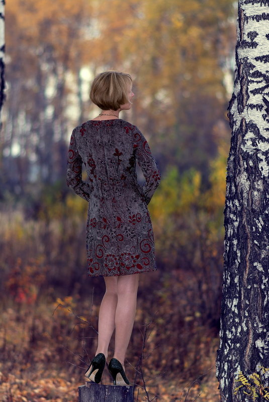 Светлана (осенние этюды) - Алексей -