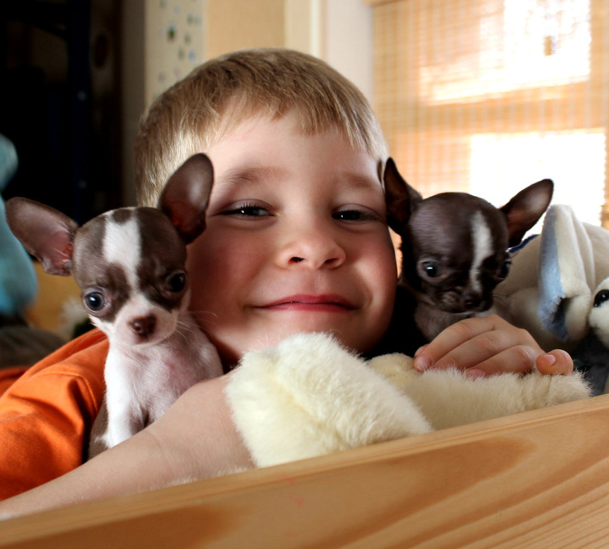 ) - Елена Ерёмченко