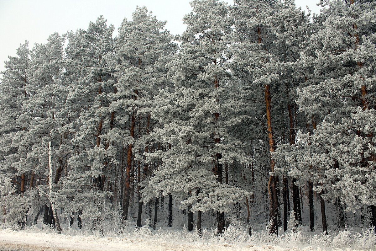 Мартовская зарисовка - Евгений Агудов