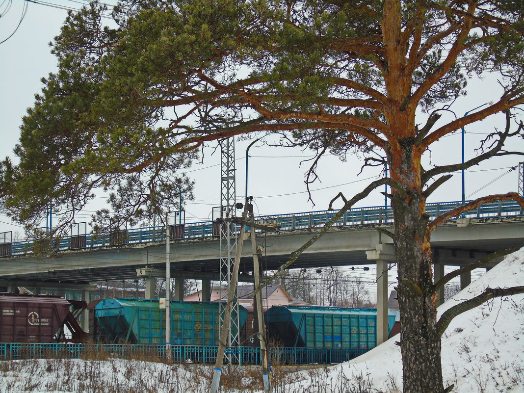 *** - Сергей Кунаев