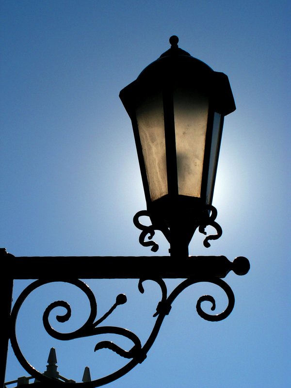 Подсвеченный солнцем - Елена Даньшина