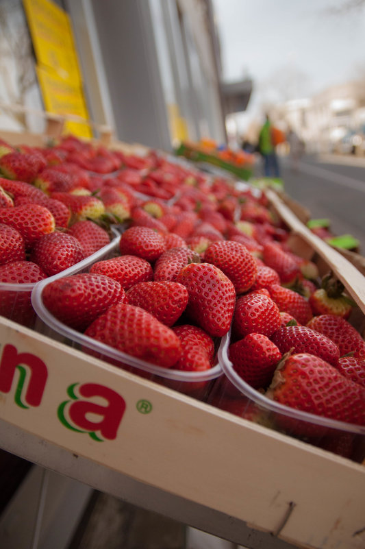 клубничка - Katerina Tighineanu