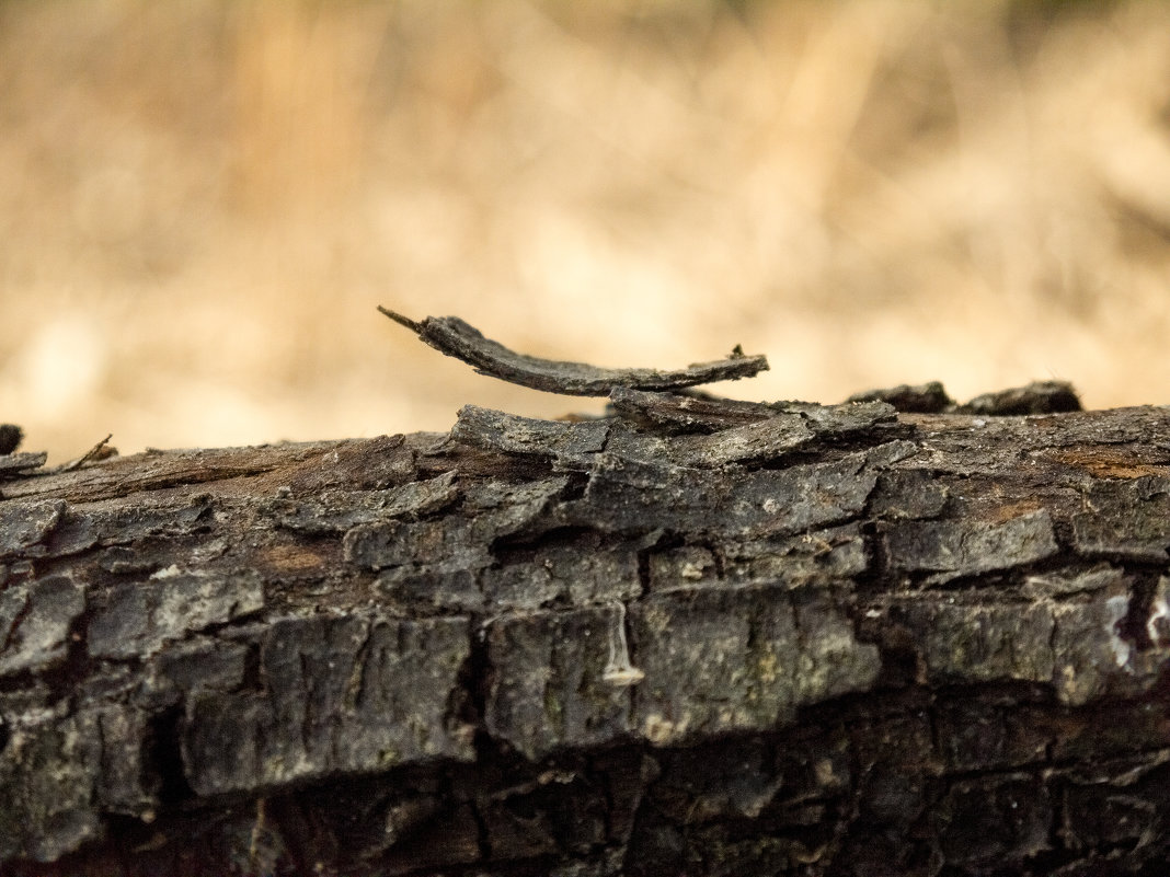 ** - Vladislava Ozerova ** - Vladislava Ozerova