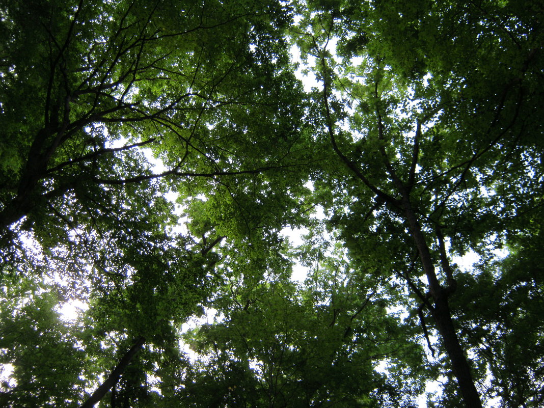 По святым местам - Любовь Иванова По святым местам - Любовь Иванова