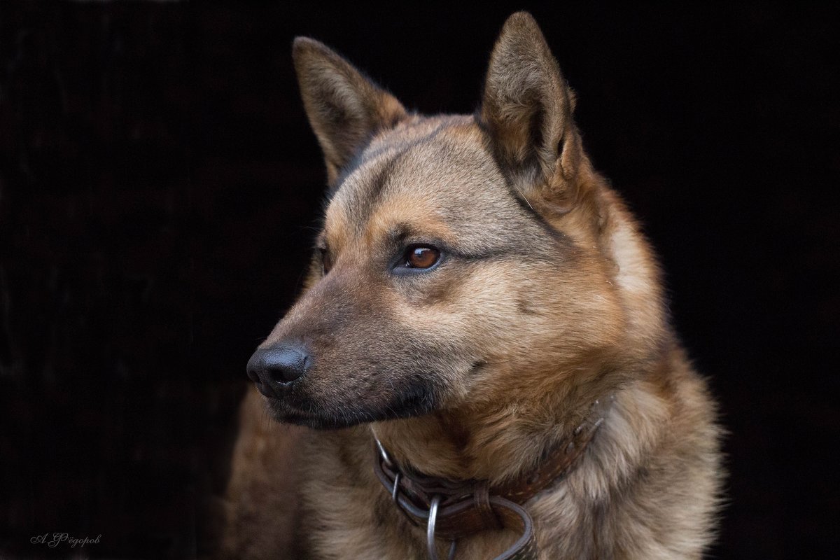 Джесик - Александр Фёдоров