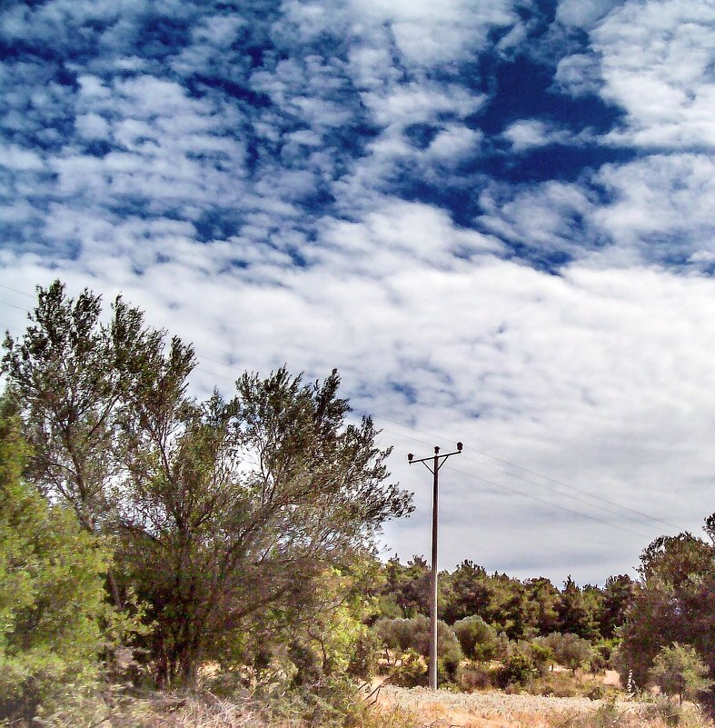 *** - Alexei Kopeliovich