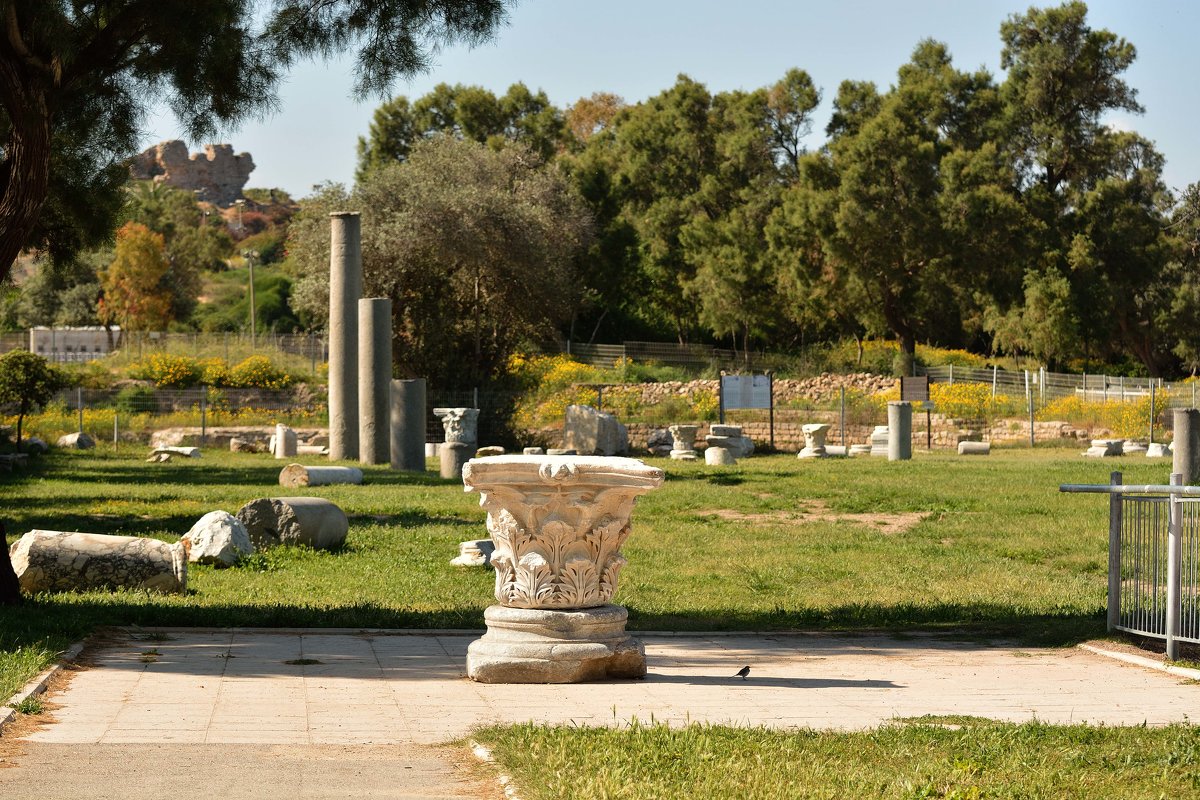 В Национальном парке Ашкелона. - Leonid Korenfeld В Национальном парке Ашкелона. - Leonid Korenfeld