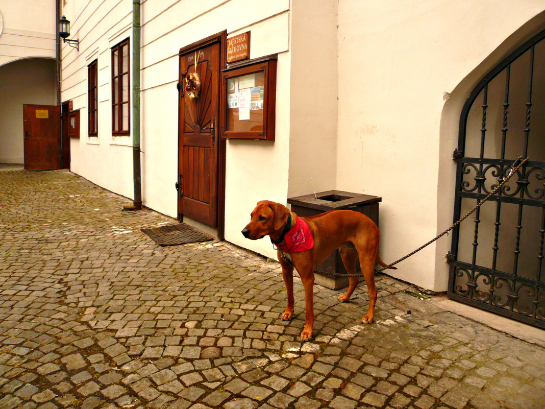 Český Krumlov - Galina Belugina