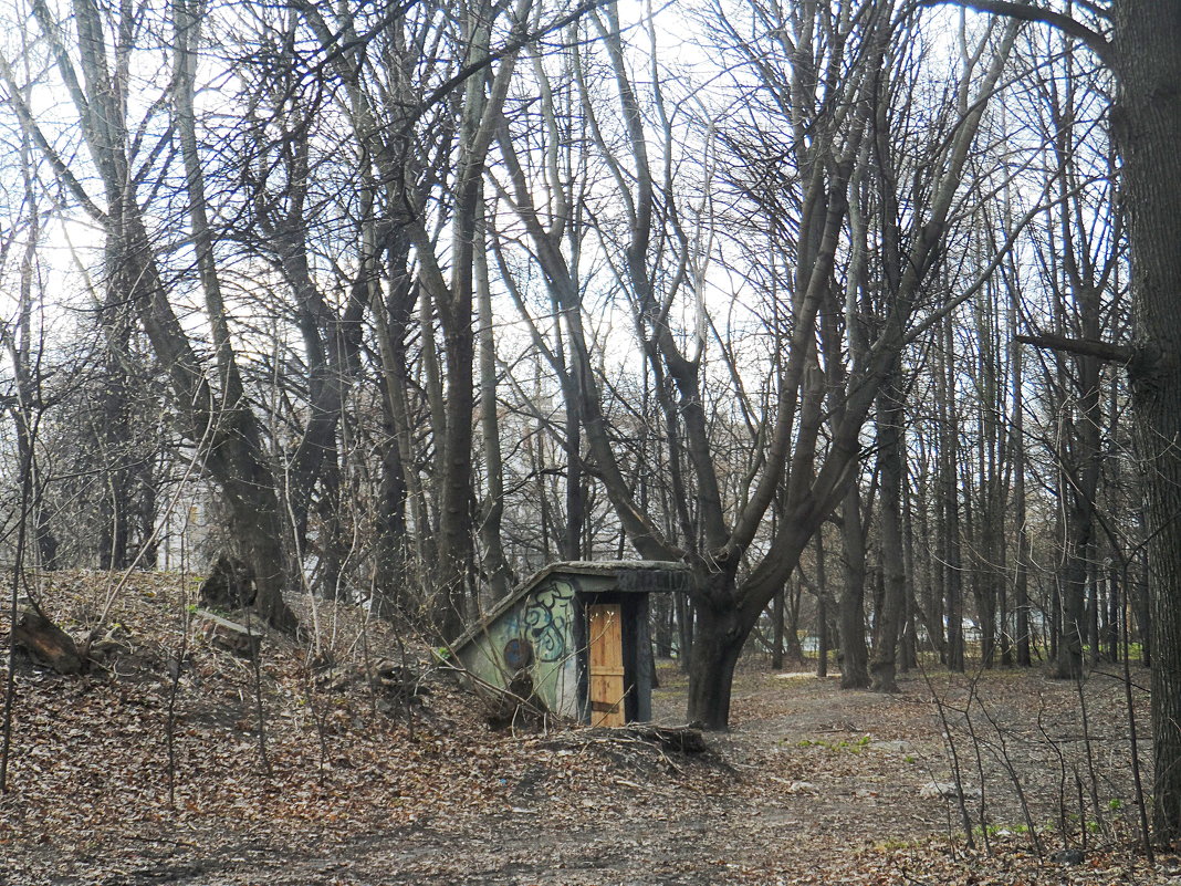 Дача на Лосином острове - Галина 