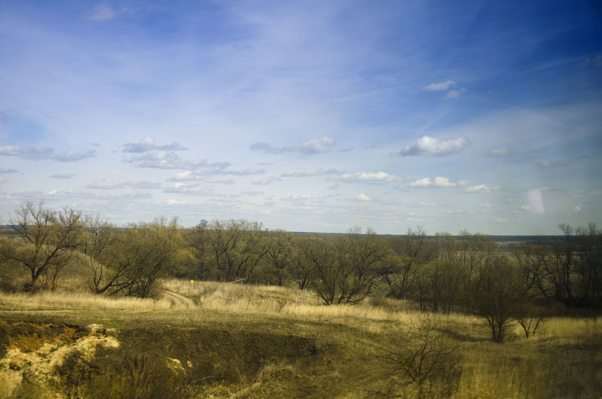 Вид из окна автобуса - Marina Timoveewa Вид из окна автобуса - Marina Timoveewa