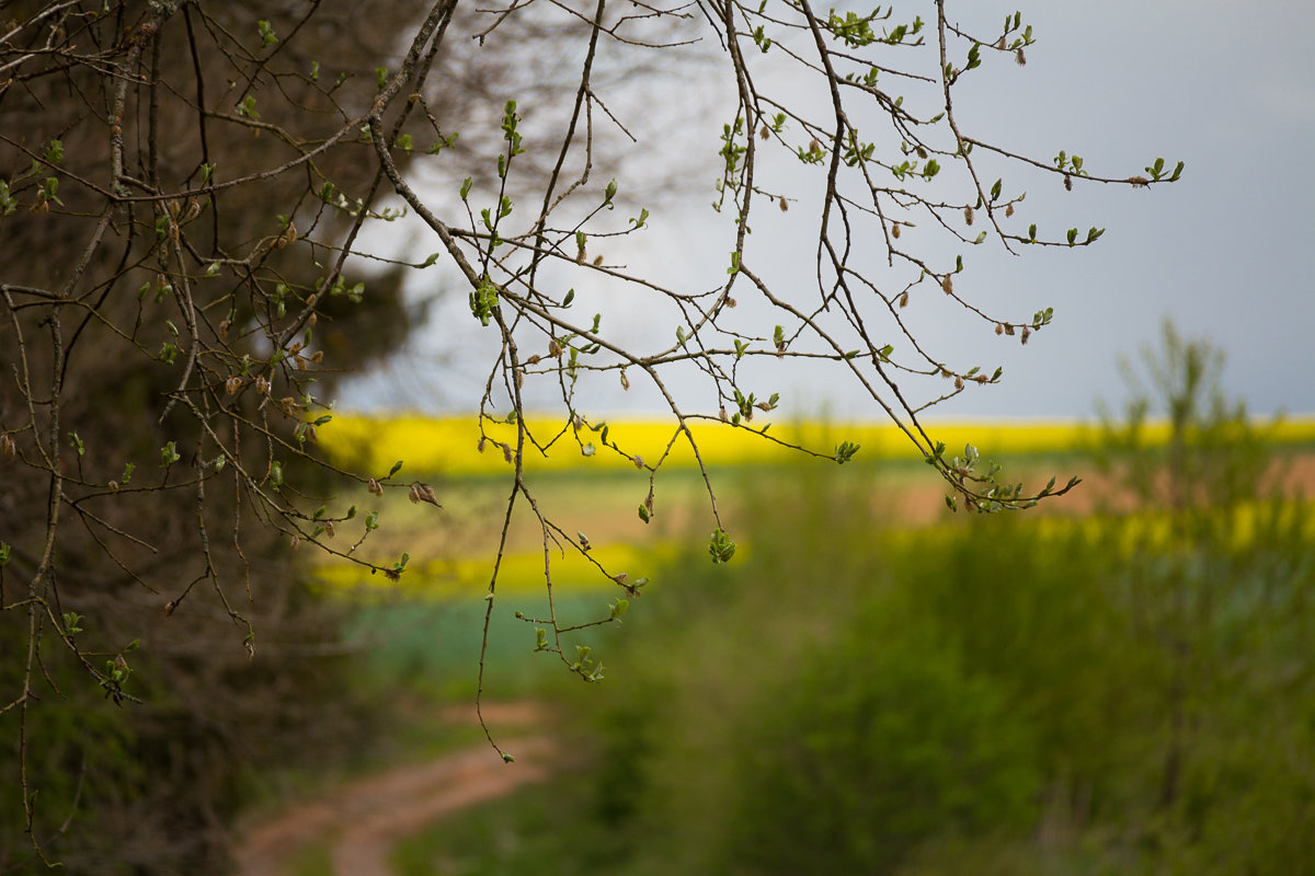 01 - Андрей Горлицкий