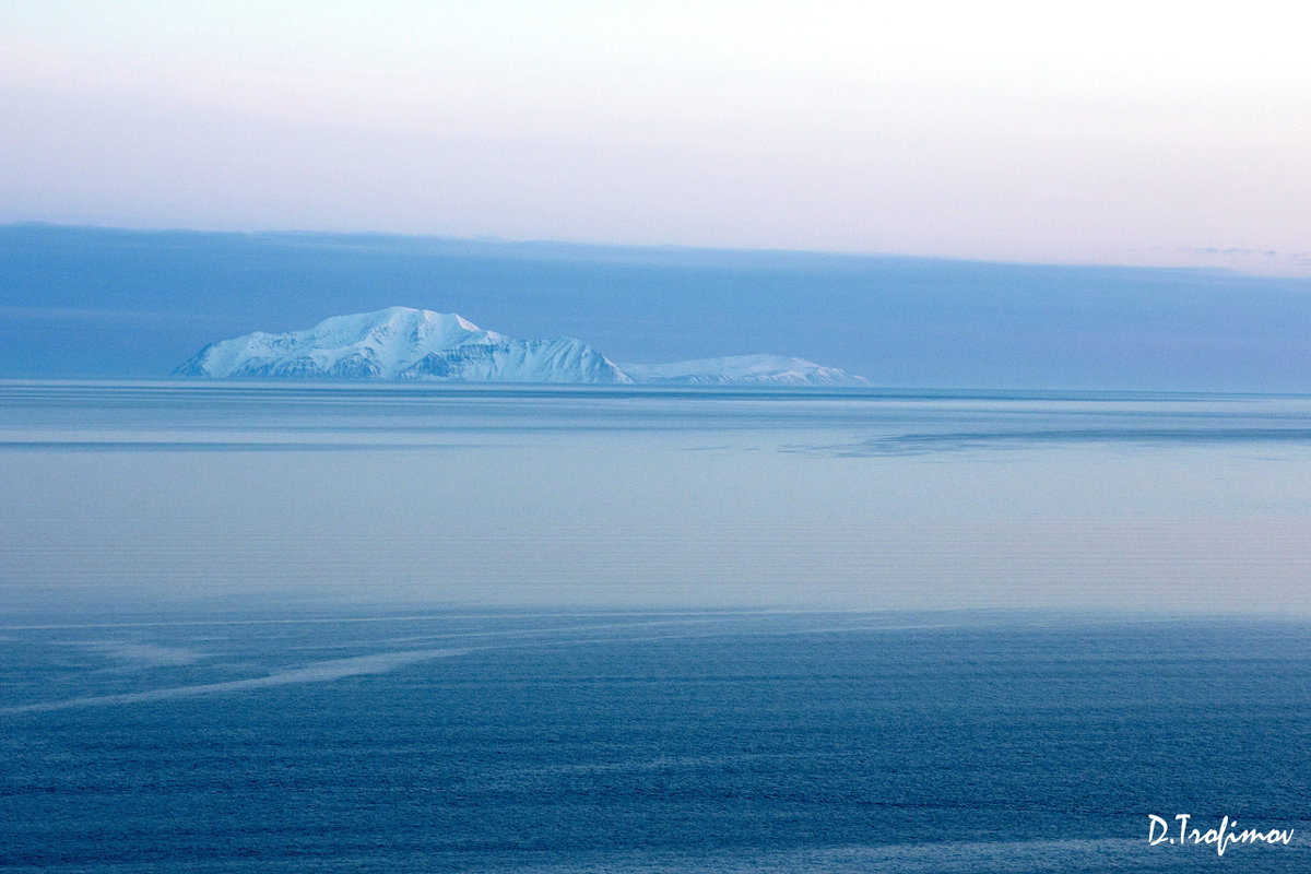 * - Денис Трофимов * - Денис Трофимов