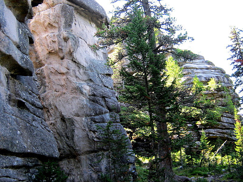 ... - Любовь Иванова